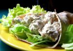 Australian Chicken Salad Tortillas Appetizer