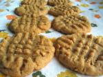 Australian The Easiest Peanut Butter Cookies Ever   Ingred Appetizer