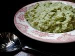 American Pureed Broccoli Appetizer