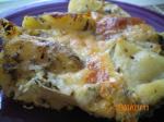 American Potato Cheese Pie derf  Quiche Dinner