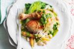 British Chicken With Baby Spring Vegetables And Pistou Recipe Dinner