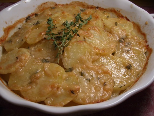 Australian Gratin of Yukon Gold Potatoes Appetizer