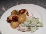 German Creamy Cucumber  Sweet Onion Salad Wdill Horseradish Dress Appetizer