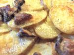 American Potato Gratin With Porcini Mushrooms and Mascarpone Cheese Appetizer