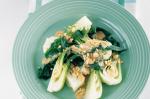 Australian Baby Bok Choy With Red Curry Sauce Recipe Appetizer