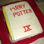 Australian Birthday Cake Harry Potter Dessert