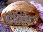 French Zuries Overnight Noknead Bread Appetizer