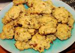 Zucchini Raisin Cookies 1 recipe