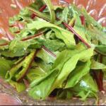 Dandelion Salad 6 recipe