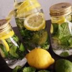 American Infusion of Natural Water with Lemon Lime and Mint Appetizer