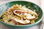 American Winter Waldorf Salad Recipe Appetizer