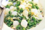 British Peas With Onion And Lettuce Recipe Appetizer