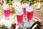 Rhubarb Spritz Recipe recipe