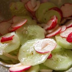 American Salad of Cucumbers and Radishes Appetizer