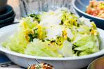 Canadian Egg Parsley And Parmesan Salad Recipe Appetizer