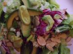 American Healthy Avocado Salad Dressing Appetizer