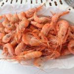 British Bouquets or Shrimp Nature of the Sea Dinner