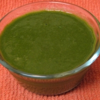 Indian Coriander with Mint Chutney Appetizer