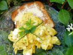 Australian Herb Cream Cheese Scrambled Eggs Appetizer