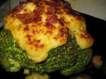 American Broccoli With Cheese and Bacon Topping Appetizer