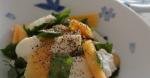 Japanese Easy Persimmon and Mozzarella Cheese Salad 3 Appetizer