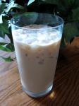 American Low Carb Iced Coffee 1 Dessert