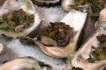 American Melissa Clarkands Oysters Rockefeller Recipe Appetizer