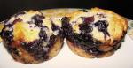 American Blueberry Muffin Tops 2 Dessert