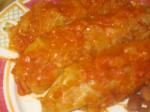 American Kittencals Cabbage Rolls With Tomato Sauce Appetizer