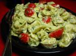 American Pesto Chicken Tortollini Salad Appetizer