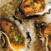 American Fresh Oysters With Tarragon Appetizer
