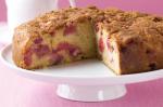 American Rhubarb Cake Recipe 15 Dessert