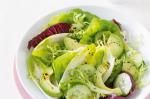 American Garden Green Salad Recipe Appetizer