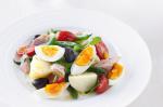 American Nicoise Salad Recipe 7 Appetizer