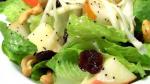 American Winter Fruit Salad with Lemon Poppyseed Dressing Recipe 1 Appetizer