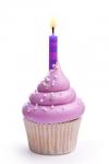 Australian Purple Party Cupcakes Dessert