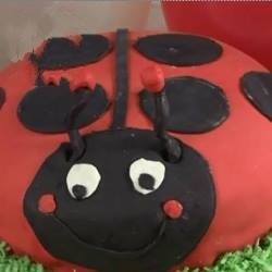 American Ladybird Cake for the Kids Birthday Dessert