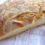 American Millet Wholemeal Bread Appetizer