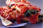 American Spinach and Ricotta Cannelloni With Tomato Sauce Recipe Appetizer