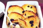 American Cranberry Bread And Butter Pudding Recipe Appetizer