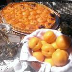 American Tarte to Apricots Guillerette Dessert