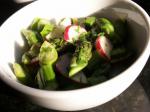 American Asian Asparagus and Radish Salad Appetizer