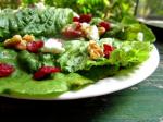 American Spring Mix With Walnuts Cranberries and Goat Cheese Dinner