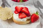 American Strawberry Shortcake Old Fashioned Style Breakfast