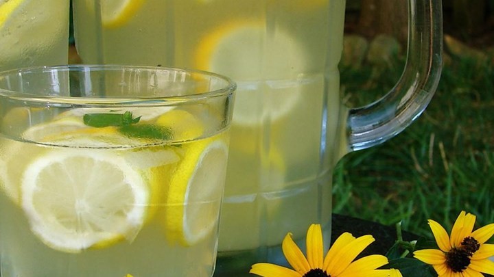 Australian Party Lemonade Recipe Appetizer