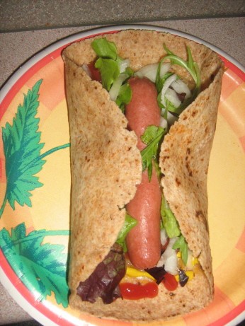 Australian Chihuahua Dogs hot Dog Tacos Dinner