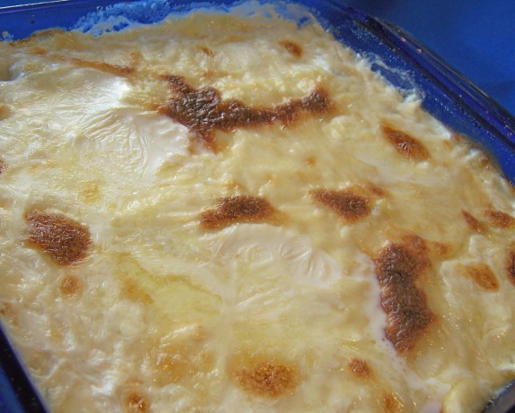 American Fennel Gratin 7 Appetizer