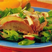 Canadian Roast Chicken Salad with Orange Dressing Appetizer