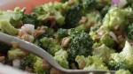 American Fresh Broccoli Salad Recipe Appetizer