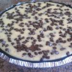 Canadian Chocolate Chip Cheesecake or Mini Cheesecakes Dessert
